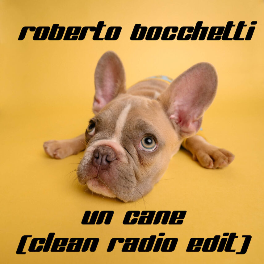 Scarica “Un Cane (Clean Radio Edit)” di Roberto Bocchetti