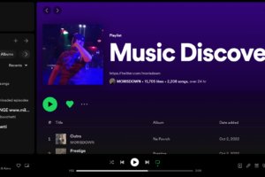 “Tiger” di Roberto Bocchetti inserita nella playlist Spotify Music Discovery