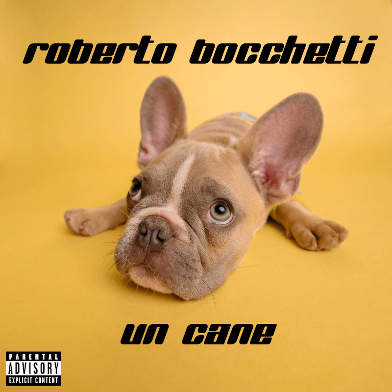 Scarica ora la HIT di Roberto Bocchetti “Un Cane (Explicit)”